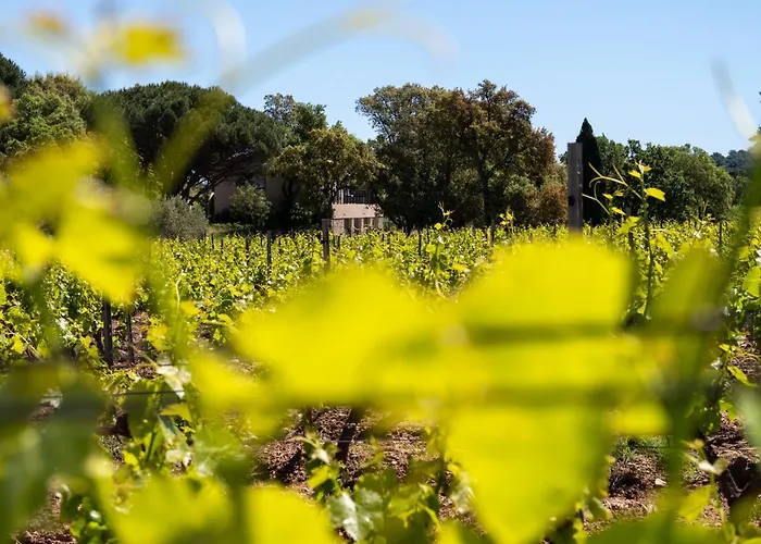 Magnifique villa avec piscine au coeur des vignes