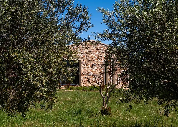Magnifique villa avec piscine au coeur des vignes