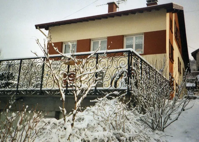 Studio confortable avec vue sur le lac - 30 m² - Gérardmer