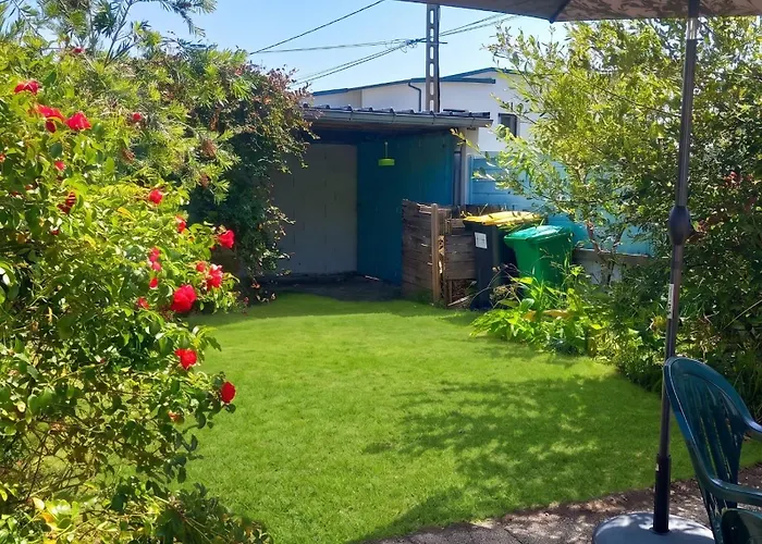 Maison accueillante à Camaret-sur-Mer - Jardin spacieux 38 m²
