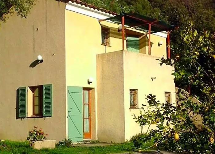 A Casa Di L'Alivu