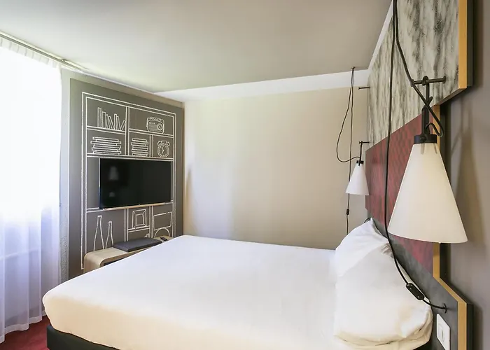 Ibis Sud