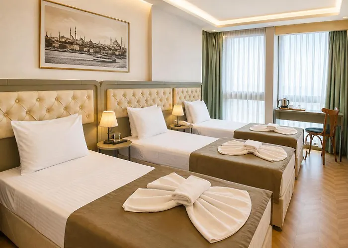 Mayer Istanbul
