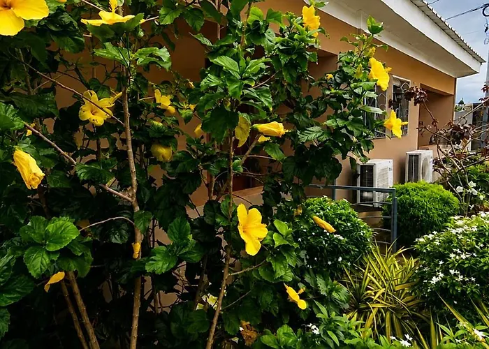 AS Guest House