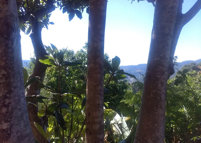Les Jardins d'Arbousse