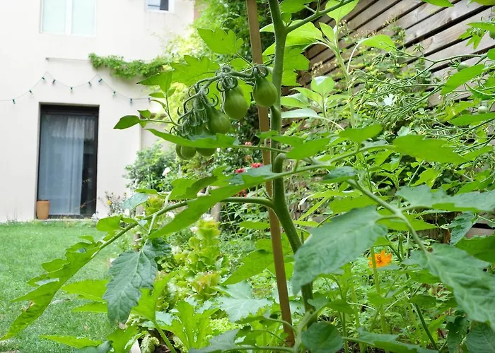B&B: La Campagne à Paris B&B