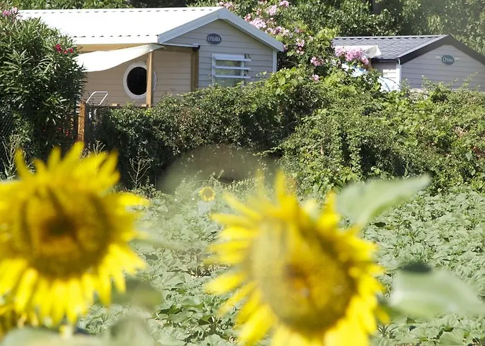 Camping Les Jardins D'Elsa