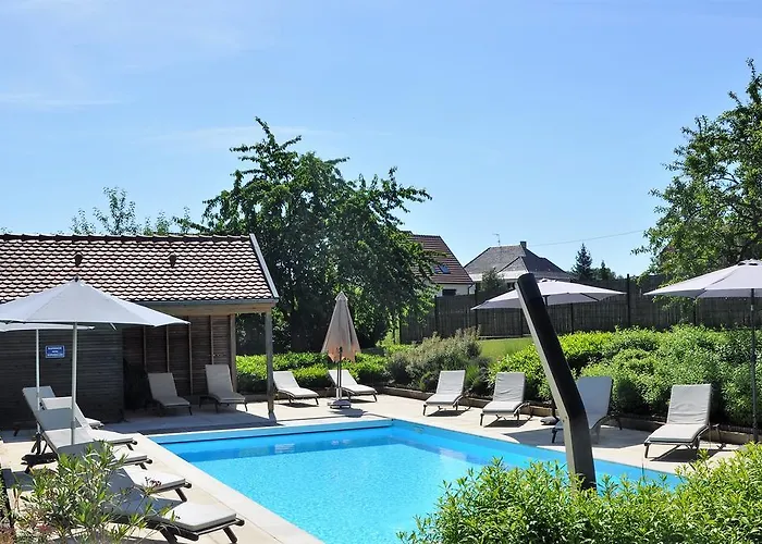 Aux Chants Des Oiseaux