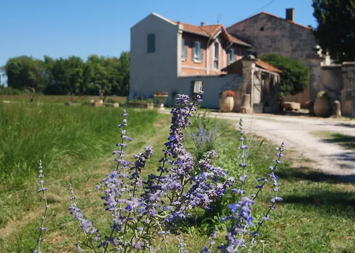 B&B: Le Mas Marguerite