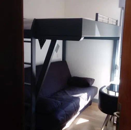 studio des écureuil