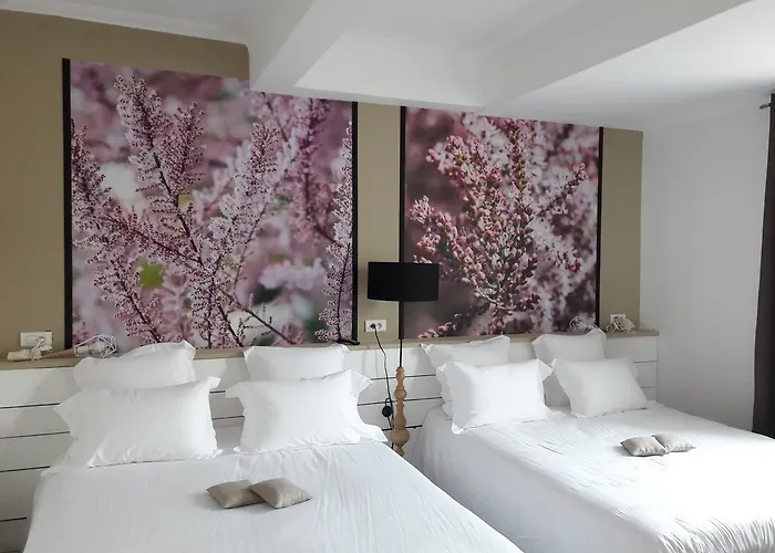 Hôtel bon marché: Hôtel-Restaurant Chez Carrière