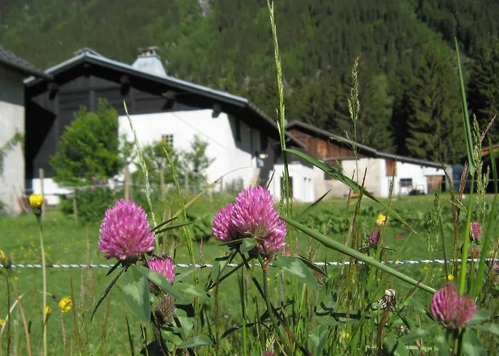 Gite Nouveau Grassonnet