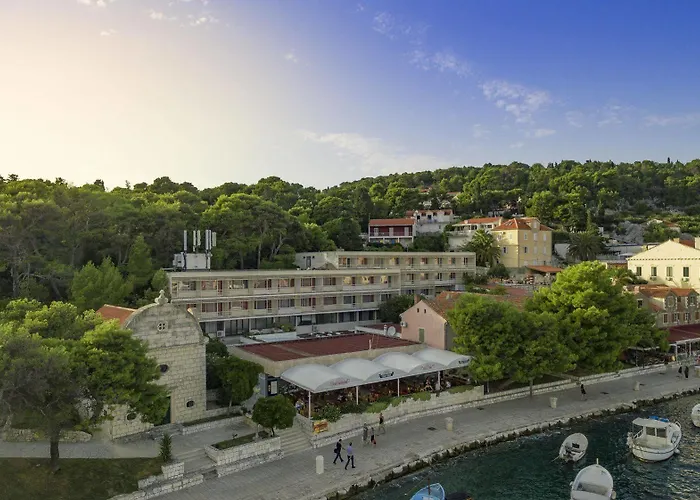 Delfin Hvar