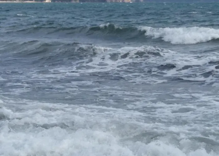 Le Saint Louis Plage