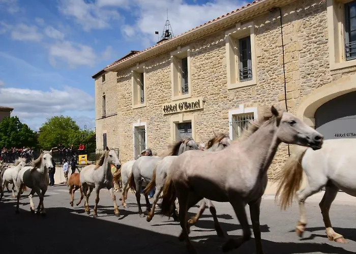 Hotel O'Banel