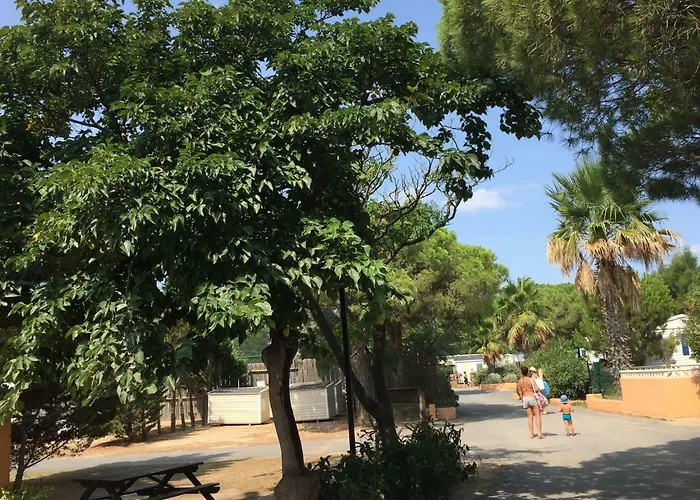 Mobilhome Douce Quietude 2