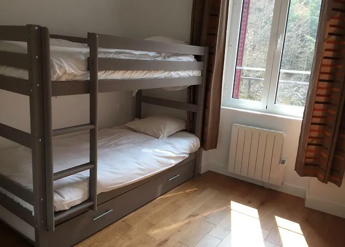 Magnifique et lumineux appartement au cœur du Sancy