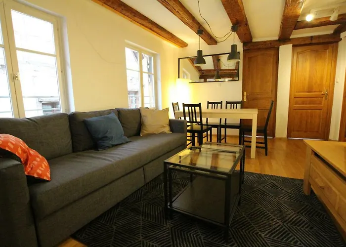 Colmar Historic Center - Alsacian Appartement Petite Venise 2 - Bookingalsace
