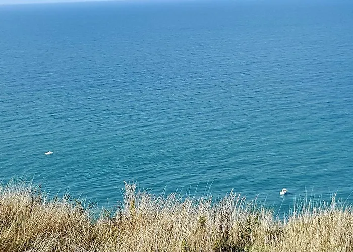 Aux Premières Loges