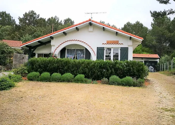 La canopée