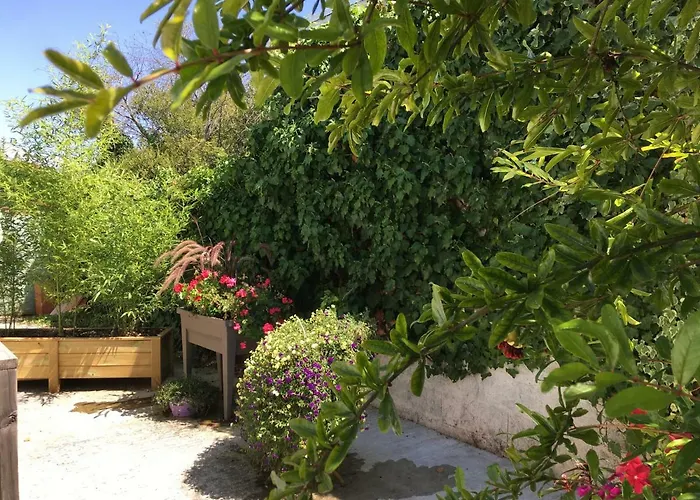 Petit Studio De L'Ermitage
