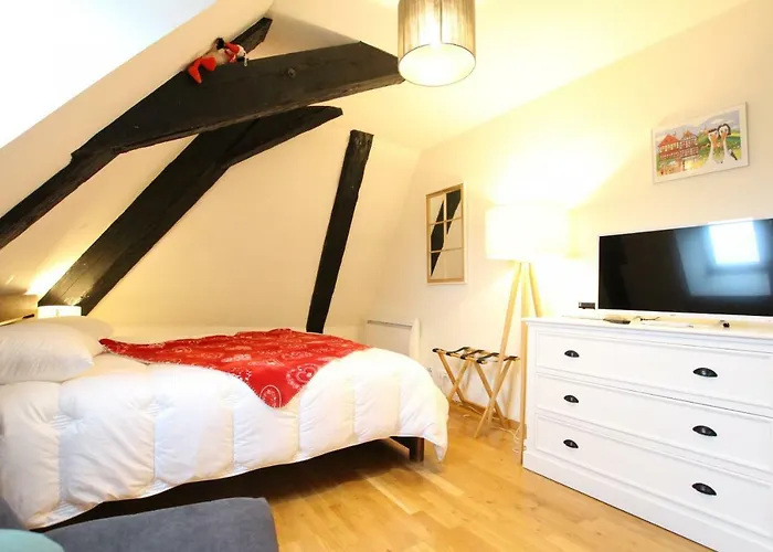 Colmar Historic Center - Cosy Studio Petit Cathedrale 1 - Bookingalsace