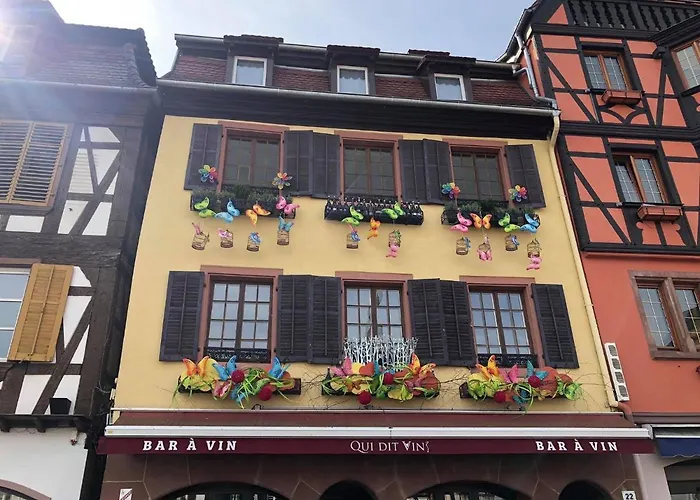 Les Appartements D'Alicia