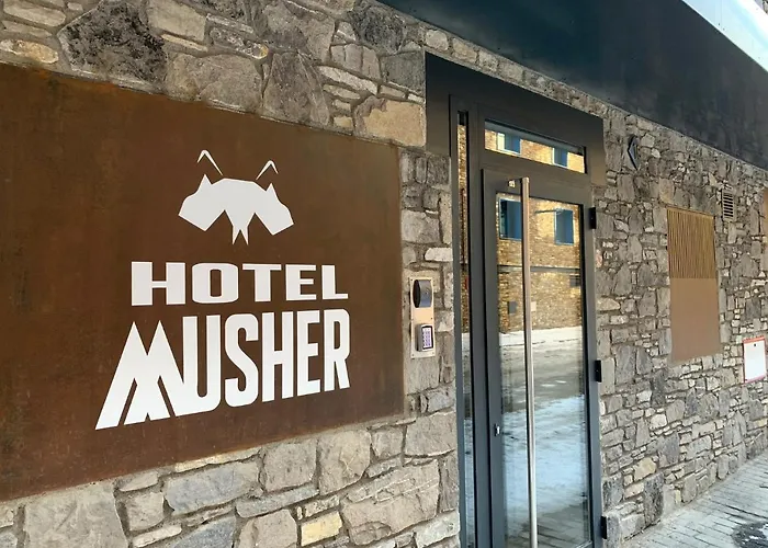 Hôtel central: Hotel Musher