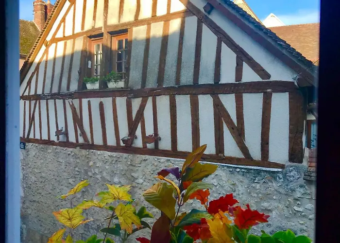 L'Elegance Au Coeur Du Medieval