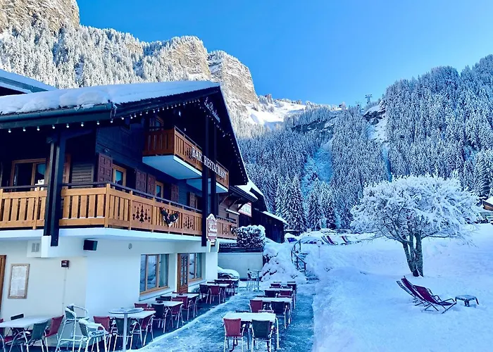 Chalet Hôtel Les Prodains