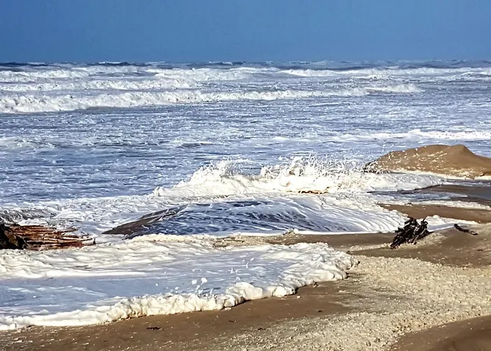 LES VAGUES, terrasse rez-de-ch, parking gratuit, lits faits, animal bienvenu et tout à pied