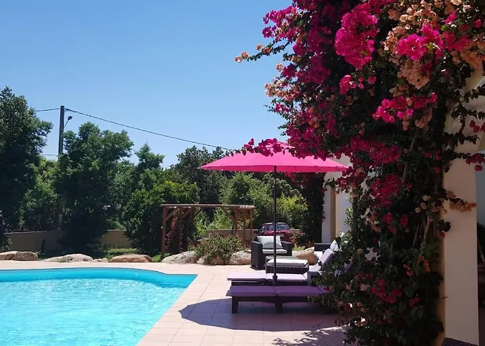 B&B: Cyrnea B&B - Adults Only