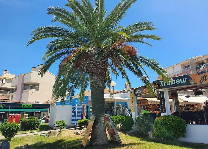 le studio du palais de la mer